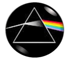 1 SPILLA - N.15 - PINS - 25 MM