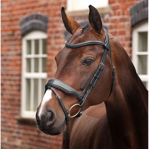 Shires velociti lusso opus - shires,