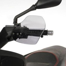 Coppia di paramani Isotta fume