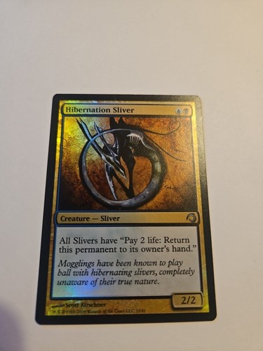 Hibernation sliver premium - hibernation,