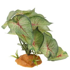  Decorazione Acquario Piante