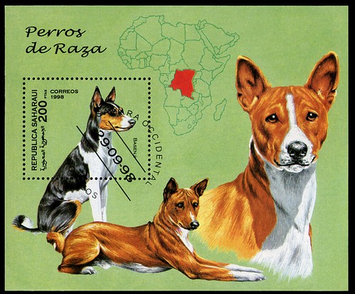 Basenji congo dog postage - dog,