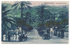 Genova-Nervi - Viale delle Palme