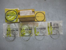 SEGMENTI FASCE PISTONE AUSTIN