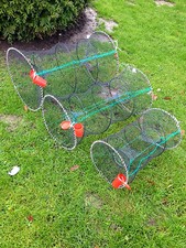 Nassa-pesci,Nassa da