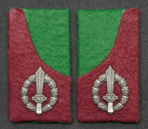 Mostrine alpini sanità rsi - sanità,