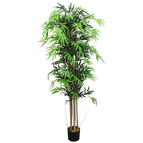 Pianta finta bambù - di,