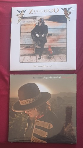 Zucchero fornaciari - zucchero,