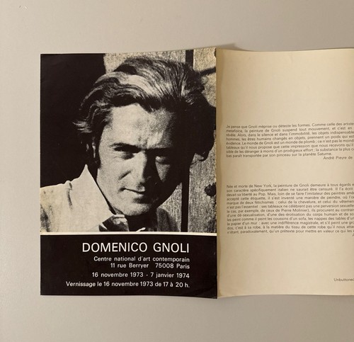 Domenico gnoli booklet - domenico,