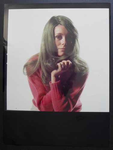 David bailey catherine - bailey,