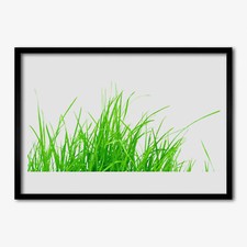 70x50 Cornice di legno MDF con