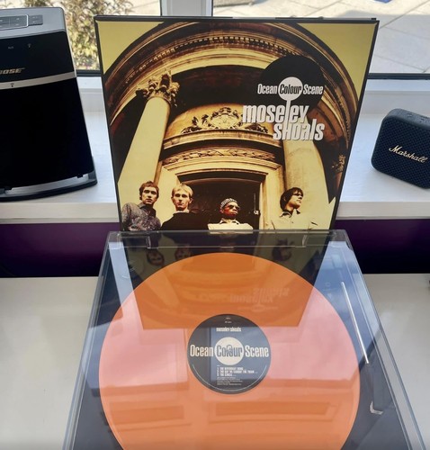 Last one ocean colour - ,