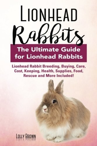 Lionhead rabbits - rabbits:,