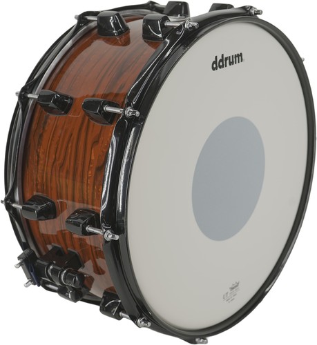 Drum dominion betulla - dominion, x