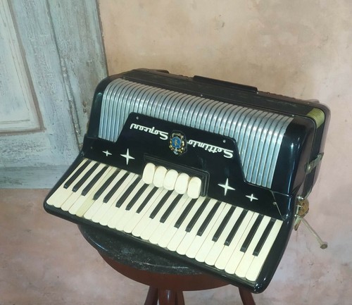 Vintage accordeon settimio - vintage,