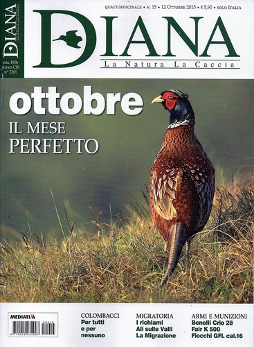 Diana 2015 ottobre - 15, ottobre#ottobre