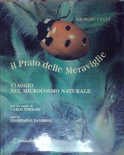 Giorgio celli prato - giorgio,