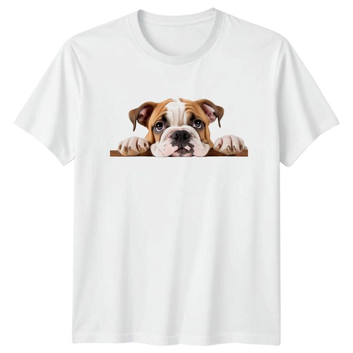English bulldog peeking - bulldog,