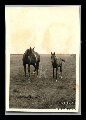 Foto ww2 funker - funker, berndt