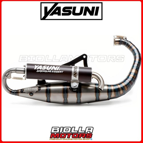Tub308b marmitta yasuni - marmitta,