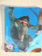 Era glaciale 4 Continenti alla deriva Carta e Card 3D