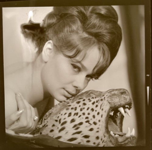 Cult actress nicole shelby - tv,