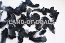 400+ Black turkey feathers