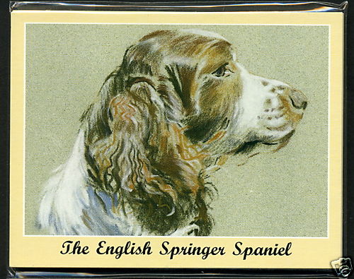 The english springer - the,