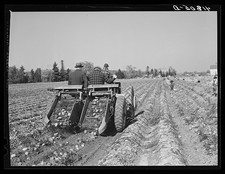 Foto caribou maine 1940 - foto:,