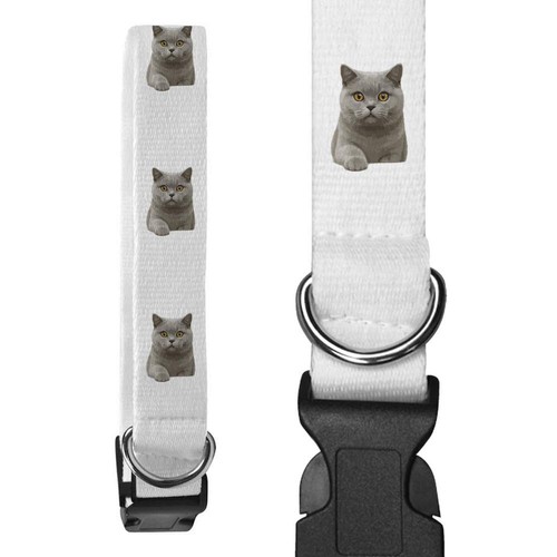 Collari per cani british - cani, 'british