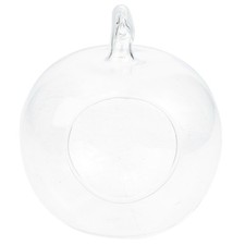  Contenitore Per Terrario Bottiglia Decorativa Piante Idroponiche Vaso