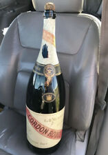 Bottiglia vuota champagne 24"