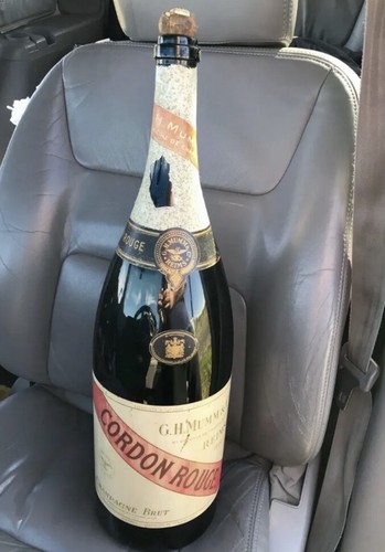 Bottiglia vuota champagne - , 24"