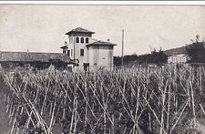 GROTTAFERRATA: Villa Bosellini - "Praedium Pacis"