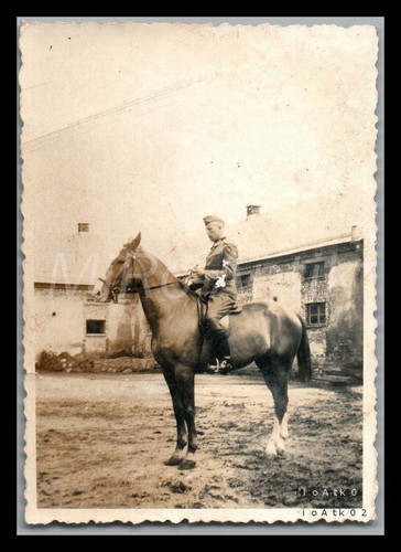 Foto ww2 r - 2./i.r.230,, lo
