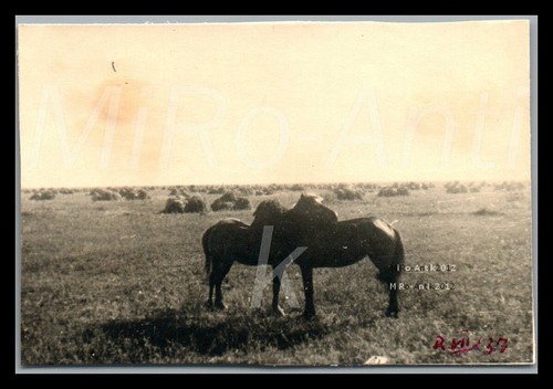 Foto ww2 beb abstg 27 - foto,, beb.abstg.