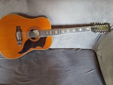 Eko ranger 12 corde made in