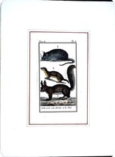 Stampa antiche epoca - antiche, '800