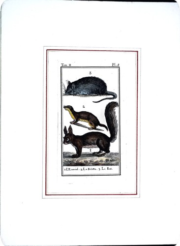 Stampa antiche epoca - antiche,