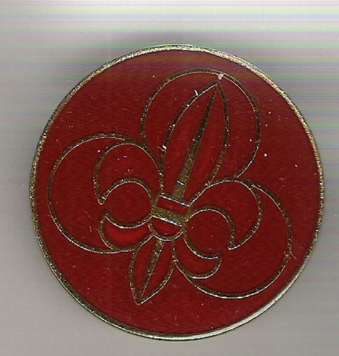 Spilla scout austriaca - spilla,