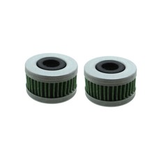 2X Filtre à carburant pour