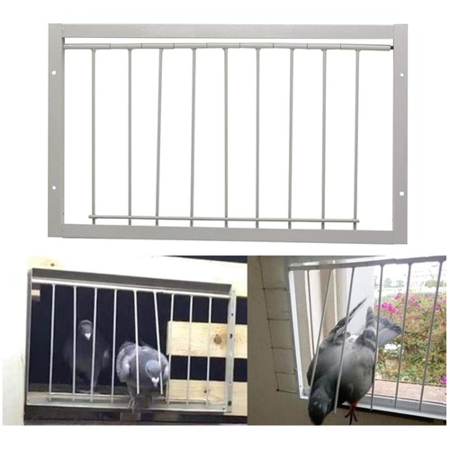 Porta piccioni racing - porta,