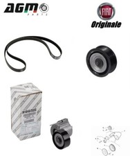 KIT CINGHIA ESTERNA +2