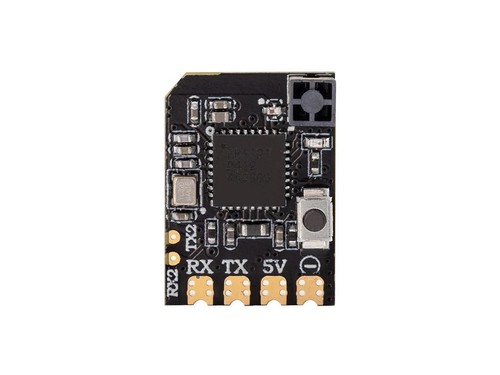 Radiomaster xr2 nano - xr2, 2,4