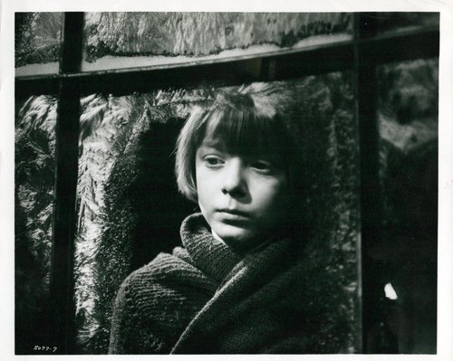 Foto film stampa - , hollywood