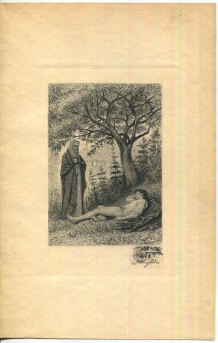 Tende antiche vittoriane donna