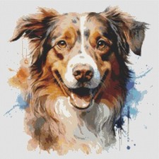 Pastore australiano cucciolo