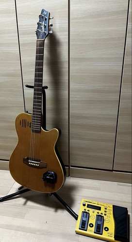 Chitarra elettrica acustica