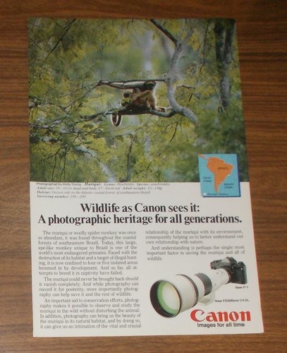 Rara pubblicità fotocamera