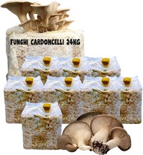 KIT COLTIVAZIONE FUNGHI